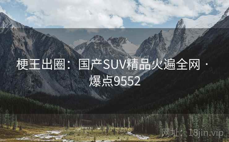 梗王出圈：国产SUV精品火遍全网 · 爆点9552